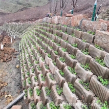自嵌式挡土墙砖砌块